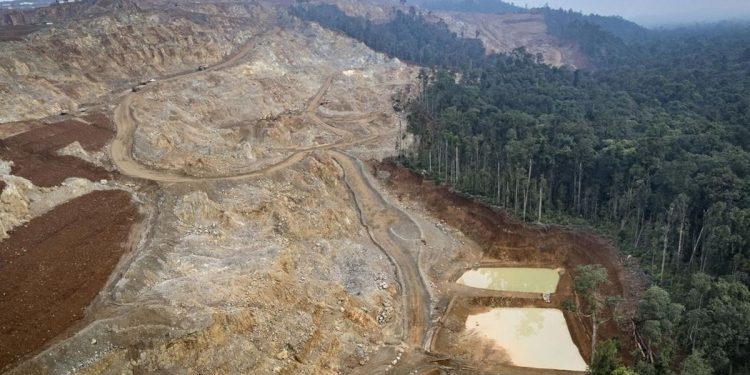 Belantara Rumah Suku Pedalaman Halmahera Terusik oleh Penambangan Nikel