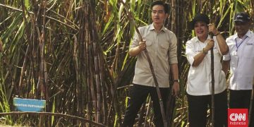 Gibran Siap Berkantor di IKN Jika Desember 2025 Selesai
